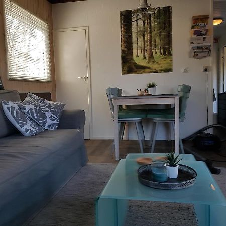Chalet Gaasterland Bos-Ijsselmeer 4 Pers. Rijs Екстериор снимка